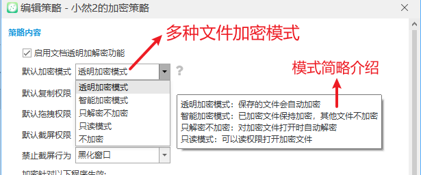 员工 17 小时销毁 89TBAI 数据,企业该如何守住数据底线?安企神软件5个宝藏级方法推荐!(图1) 多种文件加密模式.png